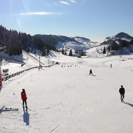 Complex Cheile Gradistei Resort&spa
